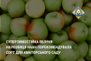 Суперзимостійка яблуня: науковиця НААН порекомендувала сорт для аматорського саду Суперзимостійка яблуня: науковиця НААН порекомендувала сорт для аматорського саду